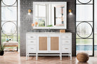 Addison 60" Single Vanity - NJ Artisan Cabinets