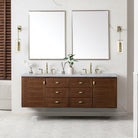 JMV Amberly 72 inch floating vanity antique walnut with arctic fall solid surface countertop