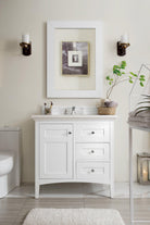 Palisades 36" Single Vanity - NJ Artisan Cabinets